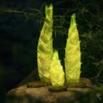 Lumind Outdoor Bamboo Shoot Light-LD01