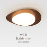 Lumind Flush Mount Ceiling Light CY-9