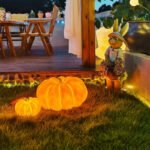 Lumind Outdoor Garden Light LC-21