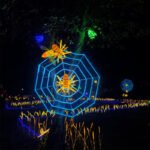 Lumind Outdoor Spider Web Light-LG12