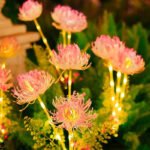 Lumind Outdoor Landscape Lights LE-7